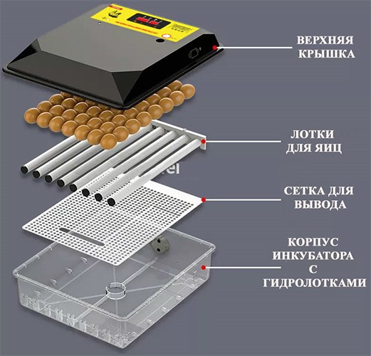 Инкубатор для яиц 